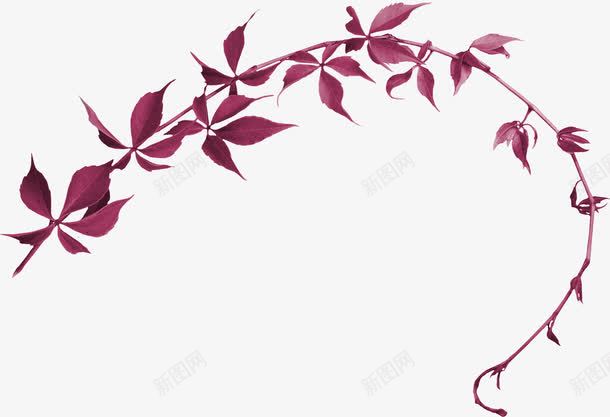紫色花穗png免抠素材_新图网 https://ixintu.com 创意 海报素材 淘宝装饰素材图案 花穗