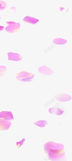 唯美粉红色花瓣飘落素材