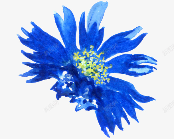 蓝色手绘的花朵装饰png免抠素材_新图网 https://ixintu.com 华芯 手绘花朵 植物 花叶 花朵 蓝色花朵
