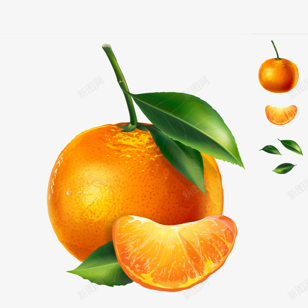 桔子插画png免抠素材_新图网 https://ixintu.com 成熟 果园 果树 桔子插画 橙子 水果 美味 美食 脐橙