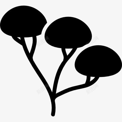 树三枝叶面积图标png_新图网 https://ixintu.com 三 形状 性质 树 树叶 树枝 面积