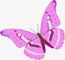 粉色蝴蝶唯美飞舞素材