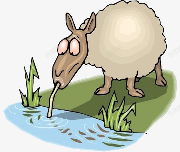 羊在小水坑喝水png免抠素材_新图网 https://ixintu.com 小水坑 水坑 羊 羊喝水