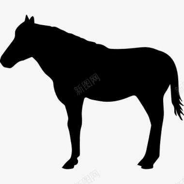 马站在黑色的形状从侧面图标图标