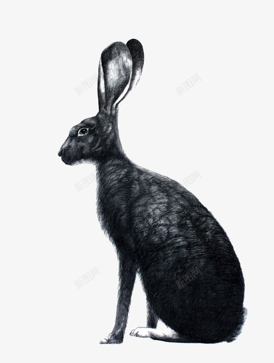 黑色兔子插画png免抠素材_新图网 https://ixintu.com 兔子免扣元素 卡通兔子 小兔子 手绘兔子 水墨兔子