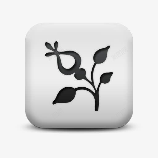 磨砂白广场图标自然奇迹花自然奇png_新图网 https://ixintu.com flower icon matte natural square white wonders 图标 奇迹 广场 白 磨砂 磨砂白广场图标自然奇迹花自然奇观免费下载 自然 花