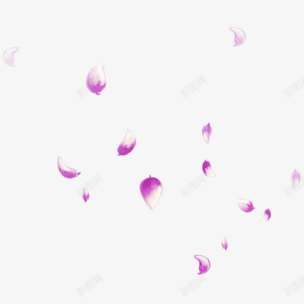 飘落的花瓣png免抠素材_新图网 https://ixintu.com 紫色花瓣 花瓣 飘落的花瓣