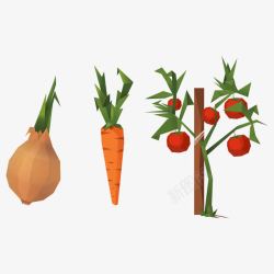 种植番茄蔬菜高清图片