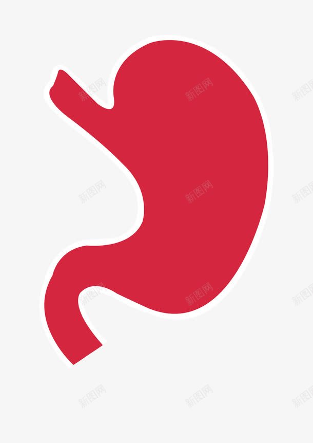 人体器官胃png免抠素材_新图网 https://ixintu.com 人体器官 内脏 胃