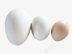 圆形蛋蛋鹅蛋鸭蛋鸡蛋高清图片