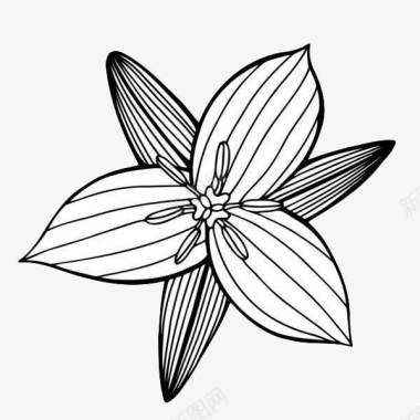 黑色简约手绘花卉图标图标