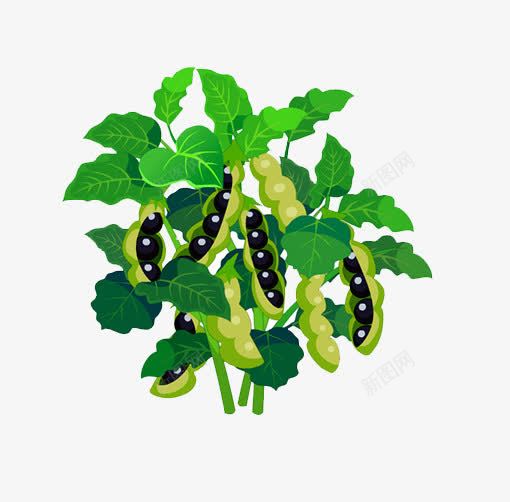 豌豆荚植物png免抠素材_新图网 https://ixintu.com 植物 绿叶 装饰 豌豆