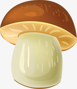 清新菇类咖啡色卡通蘑菇高清图片