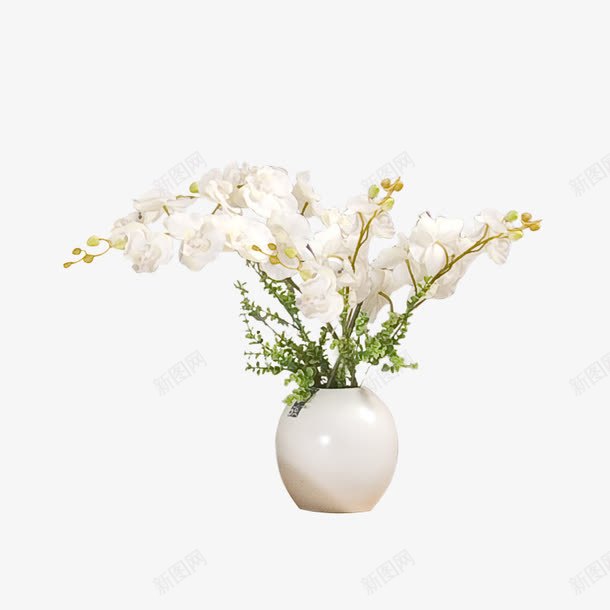 白色花瓶白色花png免抠素材_新图网 https://ixintu.com 白色花瓣 绿色植物 香气