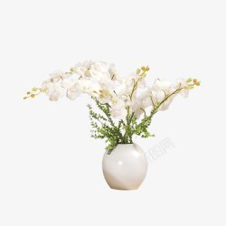 白色花瓶白色花素材