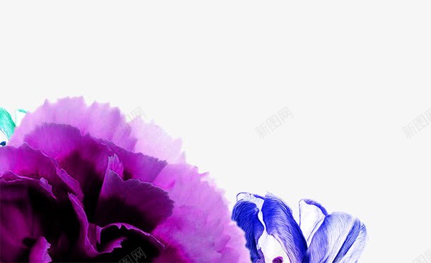 彩色花瓣png免抠素材_新图网 https://ixintu.com 彩色花瓣 紫色花瓣 花瓣 蓝色花瓣 装饰