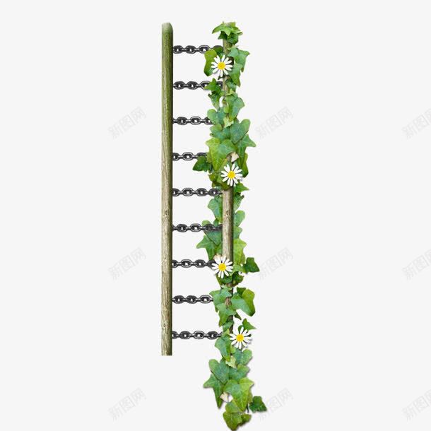 盘绕在梯子上的绿色植物png免抠素材_新图网 https://ixintu.com 手绘 梯子 绿植 装饰图