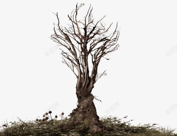 黑色的树干枯死的树png免抠素材_新图网 https://ixintu.com 枯死 树干 黑色