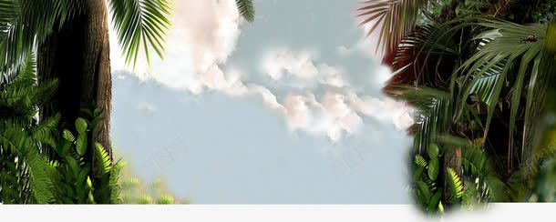 海报活动夏日植物png免抠素材_新图网 https://ixintu.com 夏日 植物 活动 海报