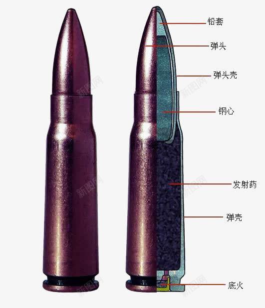 子弹构造png免抠素材_新图网 https://ixintu.com 子弹 子弹构造 弹壳 构造