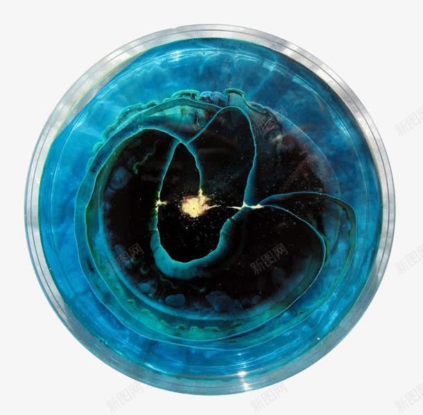 浅蓝色的微生物培养皿png免抠素材_新图网 https://ixintu.com 创意 培养皿 彩色 盘子 细胞培养皿 艺术 视觉