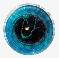 培养皿的剪辑艺术浅蓝色的微生物培养皿高清图片