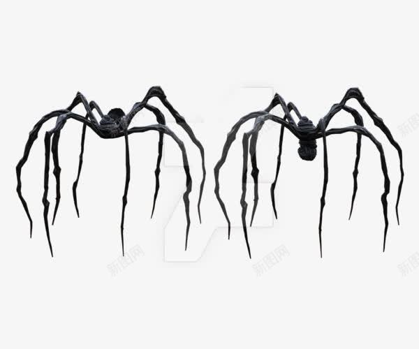 黑色蜘蛛png免抠素材_新图网 https://ixintu.com 实物 有毒 节肢动物 蜘蛛 长腿 黑色