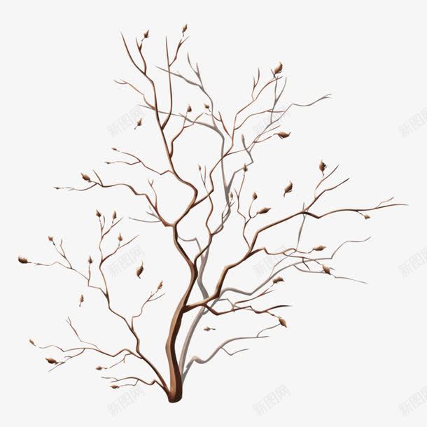 棕色简约枯树装饰图案png免抠素材_新图网 https://ixintu.com 免抠PNG 枯树 棕色 简约 装饰图案