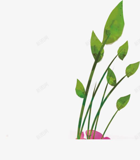 摄影手绘绿色植物树叶png免抠素材_新图网 https://ixintu.com 摄影 树叶 绿色植物