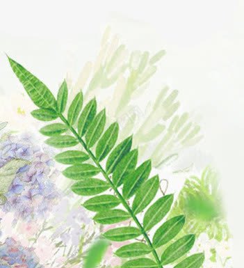 创意合成手绘绿色的草本植物png免抠素材_新图网 https://ixintu.com 创意 合成 绿色 草本植物