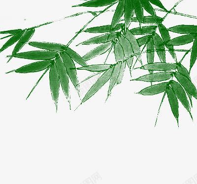 葱郁的竹叶png免抠素材_新图网 https://ixintu.com 竹叶 绿色 葱郁