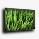 绿草显示器标志图标png_新图网 https://ixintu.com 图标 显示器 标志 绿草