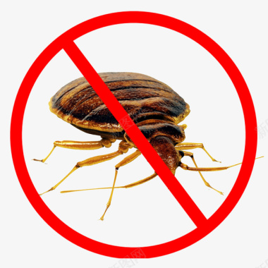卡通禁止蟑螂标志图标图标