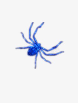 蓝色蜘蛛素材