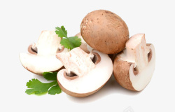 白色新鲜香菇食材素材
