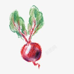 蜡笔画蔬菜手绘红色萝卜高清图片