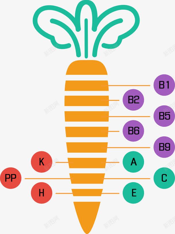 创意黄色胡萝卜png免抠素材_新图网 https://ixintu.com 创意胡萝卜 绿色叶子 营养成分 食品 食材 黄色胡萝卜