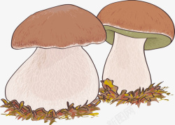 卡通手绘香菇素材