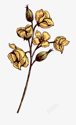 黄色花朵装饰素材