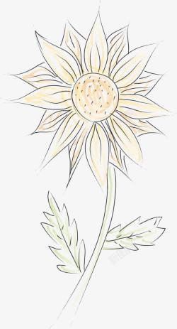 简易手绘向日葵花素材