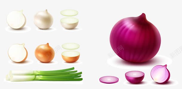 蔬菜png免抠素材_新图网 https://ixintu.com 健康饮食 白葱头 素材 紫葱头 葱