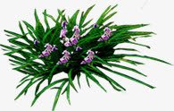 紫色景观树木花朵png免抠素材_新图网 https://ixintu.com 景观 树木 紫色 花朵