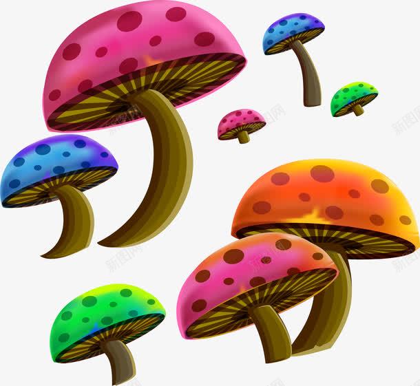 卡通彩色蘑菇png免抠素材_新图网 https://ixintu.com 卡通彩色蘑菇 卡通彩色蘑菇矢量图 彩色蘑菇矢量 矢量卡通彩色蘑菇