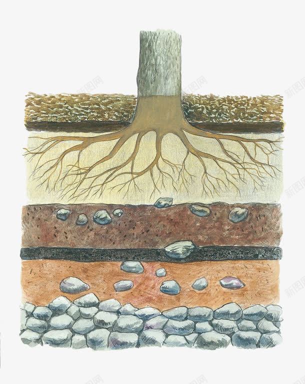 手绘土壤png免抠素材_新图网 https://ixintu.com 土壤 土壤剖面 手绘 树根 碎石 碎石块