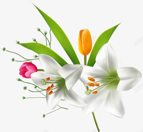 白色花朵美景树叶png免抠素材_新图网 https://ixintu.com 树叶 白色 美景 花朵