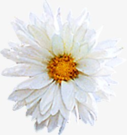 白色多层创意花朵素材