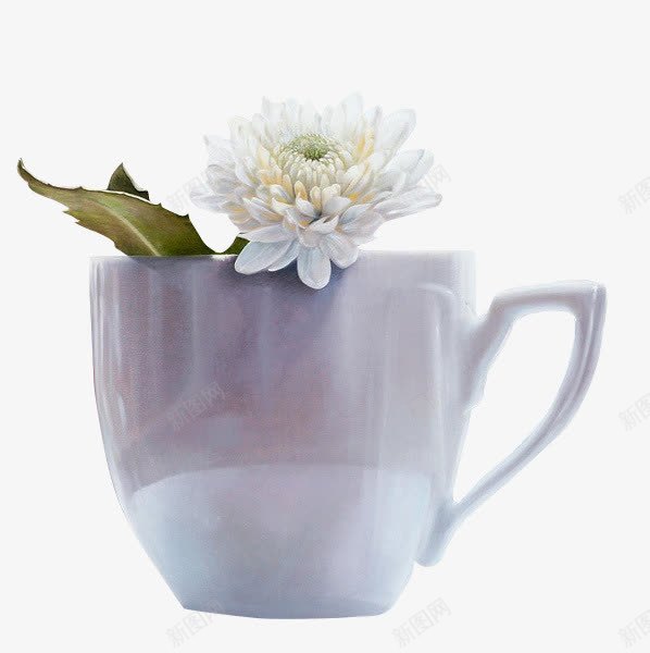 瓷杯中的花png免抠素材_新图网 https://ixintu.com 瓷器 瓷杯中的花 花