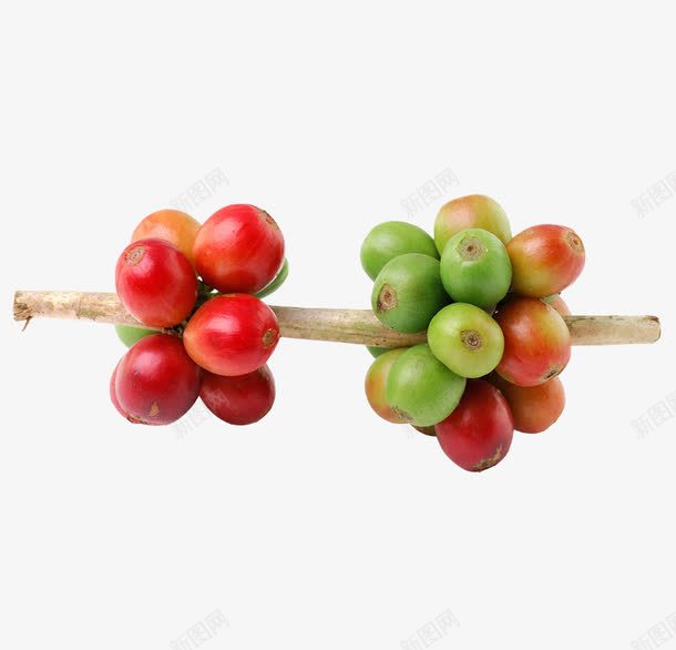 一串请红色的水果png免抠素材_新图网 https://ixintu.com 一串水果 果子 水果 青红色的水果