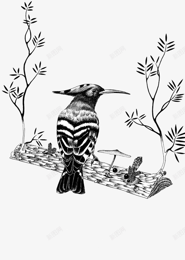黑白小鸟创意插画png免抠素材_新图网 https://ixintu.com 创意 小鸟 插画 艺术 设计 黑白
