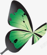 手绘黑绿色蝴蝶装饰素材